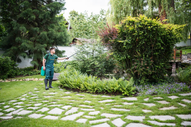 Reliable Bellport, NY Tree Services Solutions